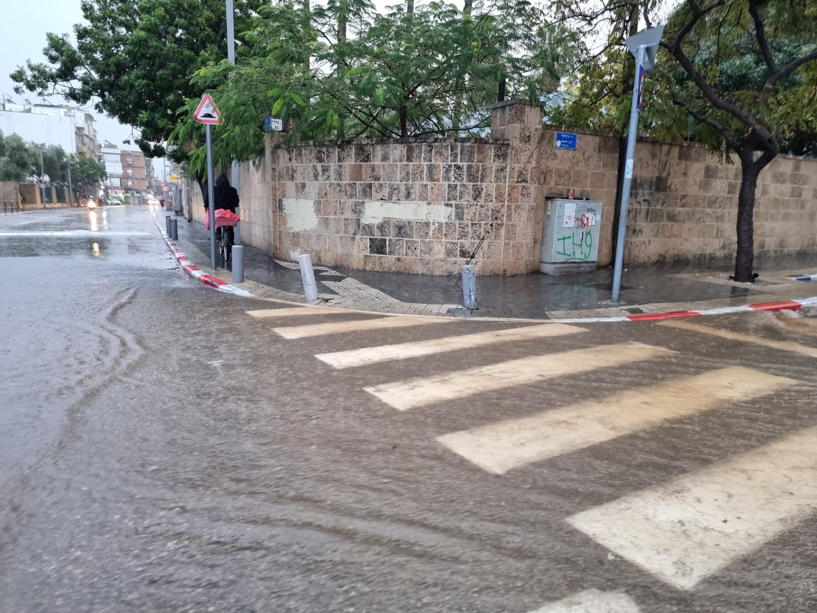 WhatsApp Image 2021-12-21 at 4.05.36 PM.jpeg